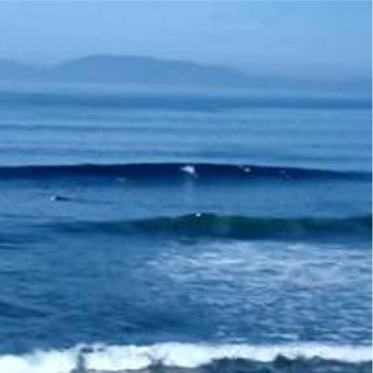 Pebble Beach Holiday Home Ballinphull Exteriör bild
